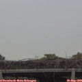 13_55-mast.jpg