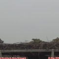 14_00-mast.jpg
