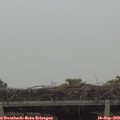 14_05-mast.jpg
