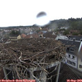 14_10-nest.jpg