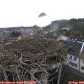 14_15-nest.jpg