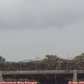 14_20-mast.jpg