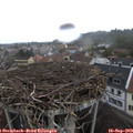 14_25-nest.jpg