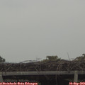 14_30-mast.jpg