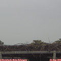 14_35-mast.jpg