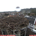 14_35-nest.jpg