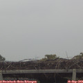 14_45-mast.jpg