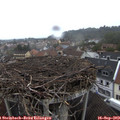 15_00-nest.jpg