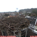 15_05-nest.jpg