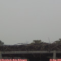 15_10-mast.jpg