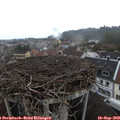 15_10-nest.jpg