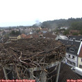15_15-nest.jpg