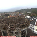 15_25-nest.jpg