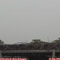 15_30-mast.jpg
