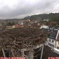 15_35-nest.jpg