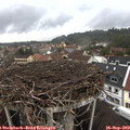 15_40-nest.jpg