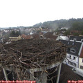 15_45-nest.jpg