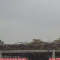 15_50-mast.jpg