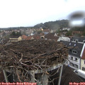 15_50-nest.jpg