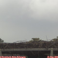 15_55-mast.jpg