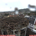 15_55-nest.jpg