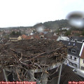 16_00-nest.jpg
