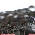 16_10-nest.jpg