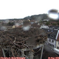 16_25-nest.jpg