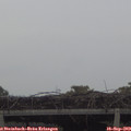 16_30-mast.jpg