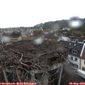 16_35-nest.jpg