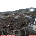 16_40-nest.jpg