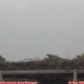 16_45-mast.jpg