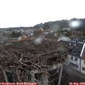 16_45-nest.jpg