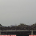 16_50-mast.jpg