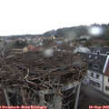 16_50-nest.jpg