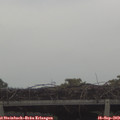 16_55-mast.jpg