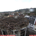 16_55-nest.jpg