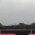 17_00-mast.jpg
