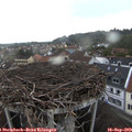 17_05-nest.jpg