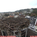 17_10-nest.jpg