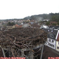 17_15-nest.jpg