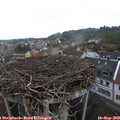 17_20-nest.jpg