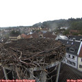 17_25-nest.jpg
