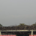 17_30-mast.jpg