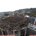 17_30-nest.jpg