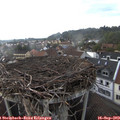 17_35-nest.jpg