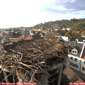 17_40-nest.jpg