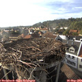 17_45-nest.jpg