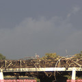 17_50-mast.jpg