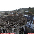 18_00-nest.jpg